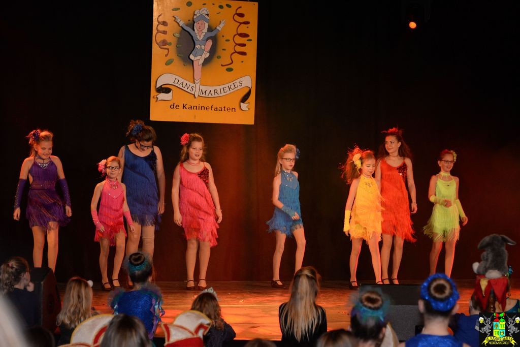 ../Images/Dansmarieke festival 2018 271.jpg